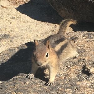 Meet your Posher, Kristy